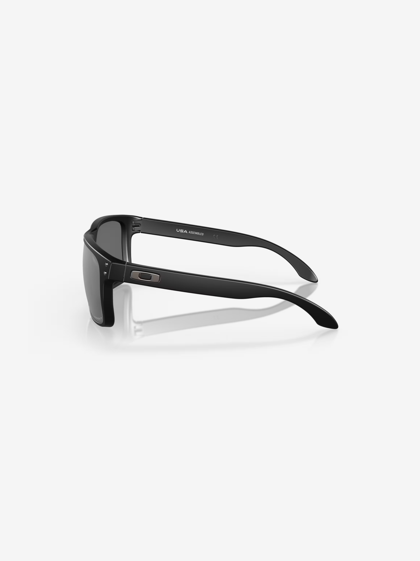 Oakley Holbrook XL - Matte Black / Black Prism Polished