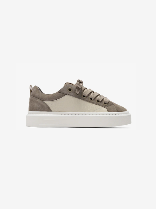 Cleens Ace Trainer - Taupe